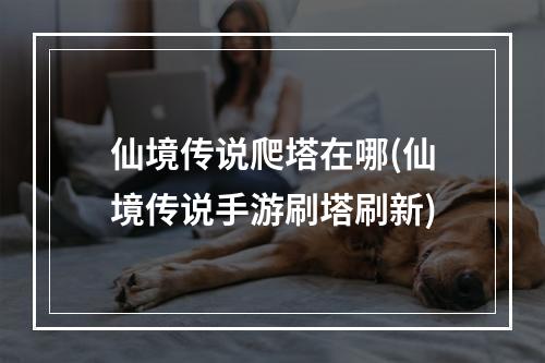 仙境传说爬塔在哪(仙境传说手游刷塔刷新)