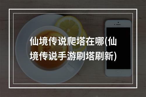 仙境传说爬塔在哪(仙境传说手游刷塔刷新)