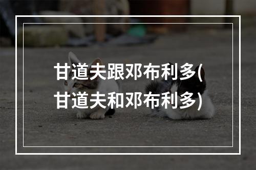 甘道夫跟邓布利多(甘道夫和邓布利多)