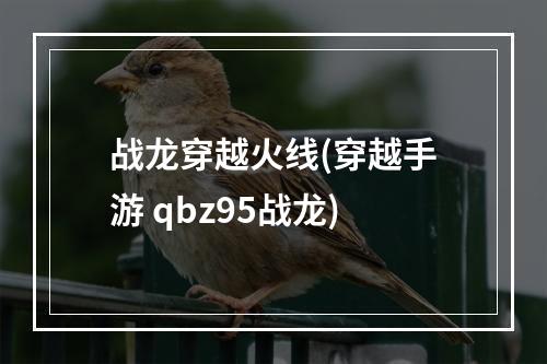 战龙穿越火线(穿越手游 qbz95战龙)