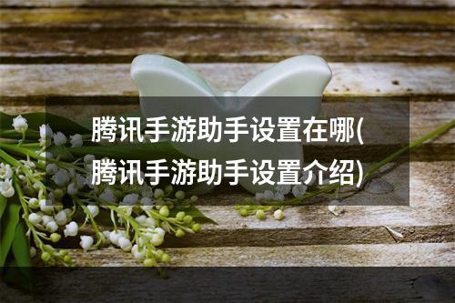 腾讯手游助手设置在哪(腾讯手游助手设置介绍)