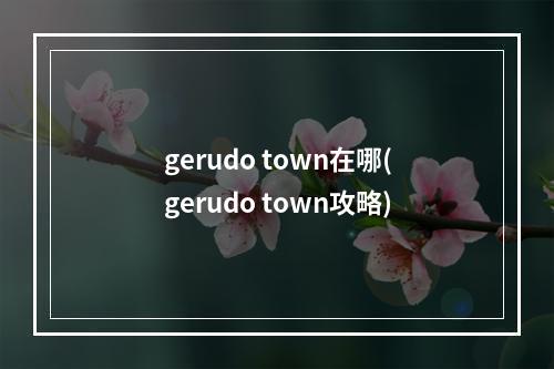 gerudo town在哪(gerudo town攻略)