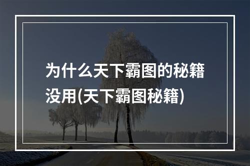 为什么天下霸图的秘籍没用(天下霸图秘籍)