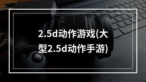 2.5d动作游戏(大型2.5d动作手游)