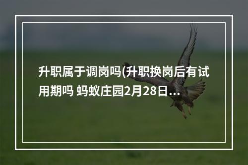 升职属于调岗吗(升职换岗后有试用期吗 蚂蚁庄园2月28日答案最新)