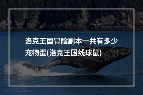 洛克王国冒险副本一共有多少宠物蛋(洛克王国线球鼠)