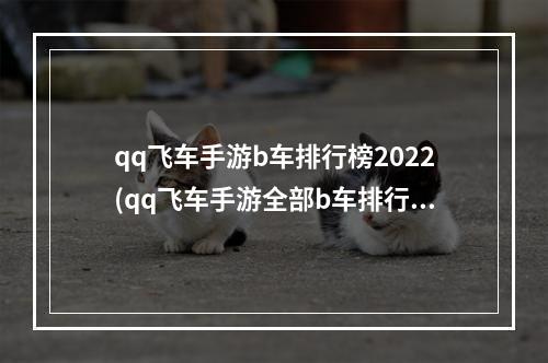 qq飞车手游b车排行榜2022(qq飞车手游全部b车排行)