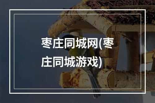 枣庄同城网(枣庄同城游戏)