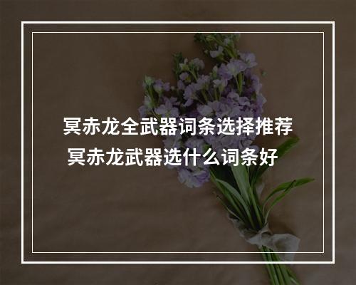 冥赤龙全武器词条选择推荐 冥赤龙武器选什么词条好