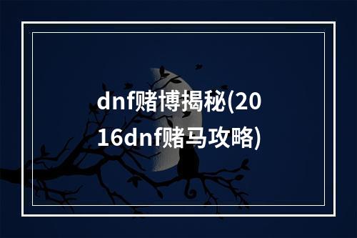 dnf赌博揭秘(2016dnf赌马攻略)