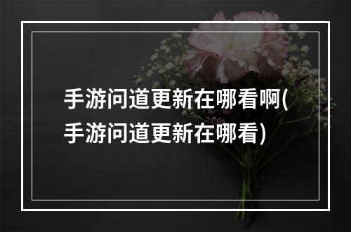 手游问道更新在哪看啊(手游问道更新在哪看)