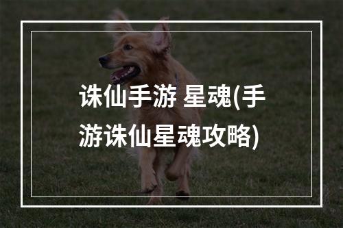 诛仙手游 星魂(手游诛仙星魂攻略)