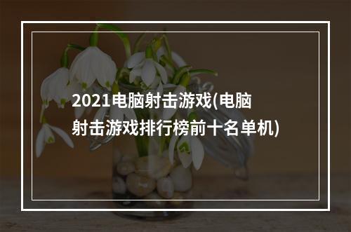 2021电脑射击游戏(电脑射击游戏排行榜前十名单机)