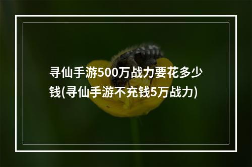 寻仙手游500万战力要花多少钱(寻仙手游不充钱5万战力)