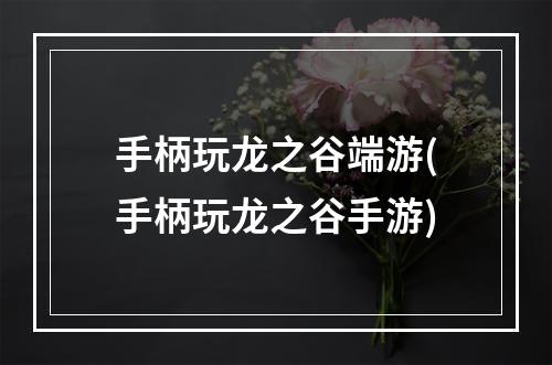 手柄玩龙之谷端游(手柄玩龙之谷手游)