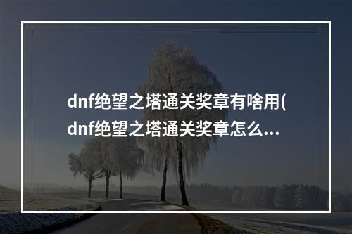 dnf绝望之塔通关奖章有啥用(dnf绝望之塔通关奖章怎么获得 绝望之塔通关奖章获取)