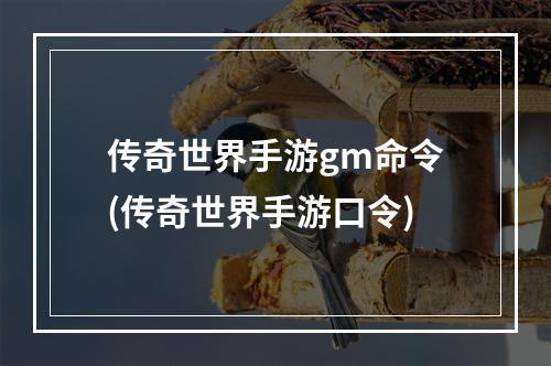 传奇世界手游gm命令(传奇世界手游口令)