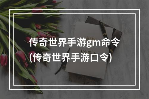 传奇世界手游gm命令(传奇世界手游口令)