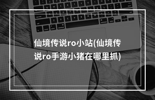 仙境传说ro小站(仙境传说ro手游小猪在哪里抓)