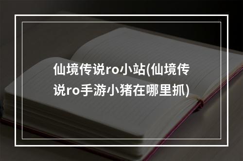 仙境传说ro小站(仙境传说ro手游小猪在哪里抓)