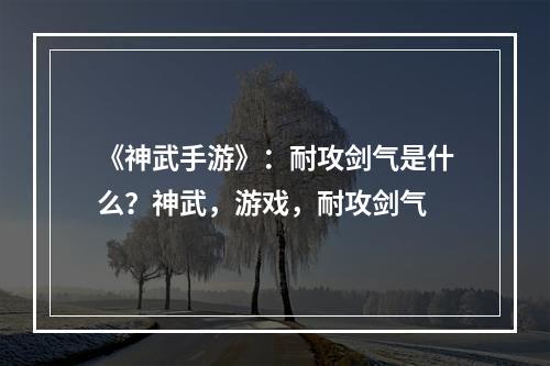 《神武手游》：耐攻剑气是什么？神武，游戏，耐攻剑气