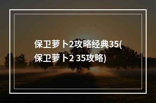 保卫萝卜2攻略经典35(保卫萝卜2 35攻略)