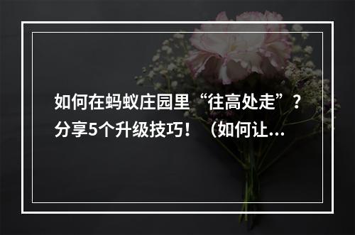 如何在蚂蚁庄园里“往高处走”？分享5个升级技巧！（如何让水往高处流打造一流游戏技巧）