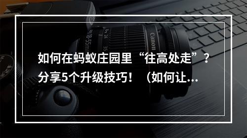 如何在蚂蚁庄园里“往高处走”？分享5个升级技巧！（如何让水往高处流打造一流游戏技巧）