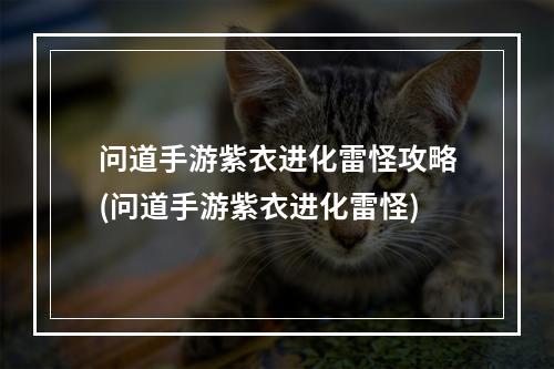 问道手游紫衣进化雷怪攻略(问道手游紫衣进化雷怪)