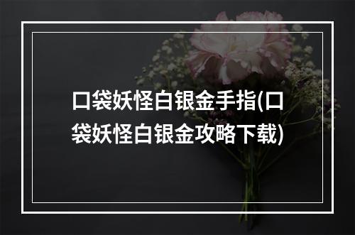 口袋妖怪白银金手指(口袋妖怪白银金攻略下载)