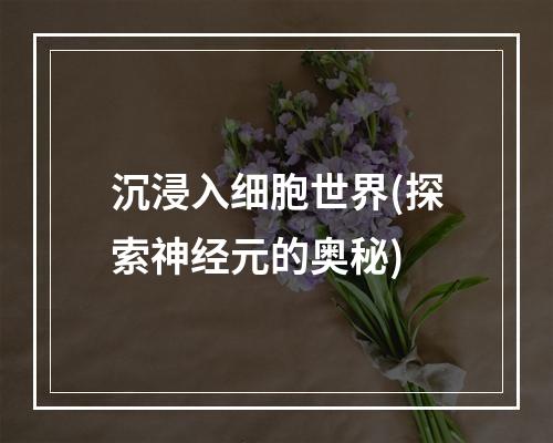 沉浸入细胞世界(探索神经元的奥秘)