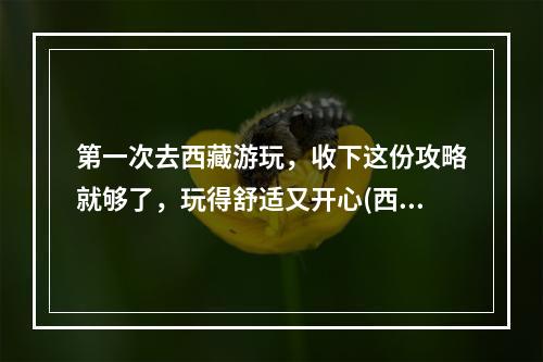 第一次去西藏游玩，收下这份攻略就够了，玩得舒适又开心(西藏攻略)