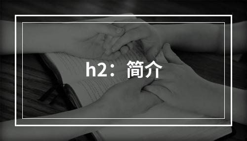 h2：简介