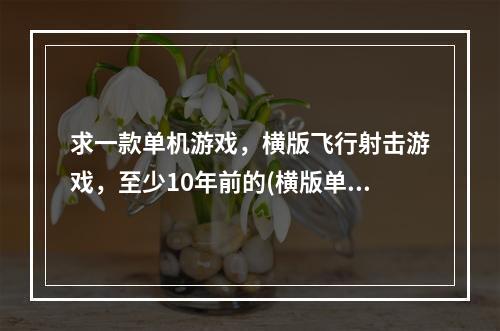 求一款单机游戏，横版飞行射击游戏，至少10年前的(横版单机游戏)