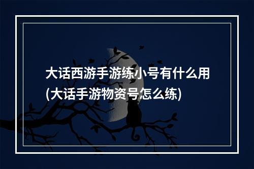 大话西游手游练小号有什么用(大话手游物资号怎么练)