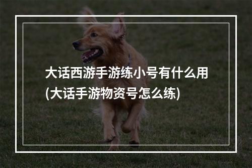 大话西游手游练小号有什么用(大话手游物资号怎么练)