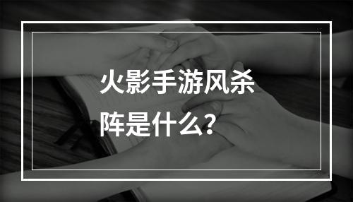 火影手游风杀阵是什么？