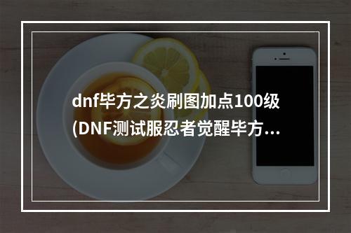 dnf毕方之炎刷图加点100级(DNF测试服忍者觉醒毕方之炎加点攻略指引)