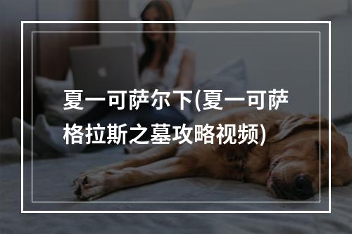 夏一可萨尔下(夏一可萨格拉斯之墓攻略视频)