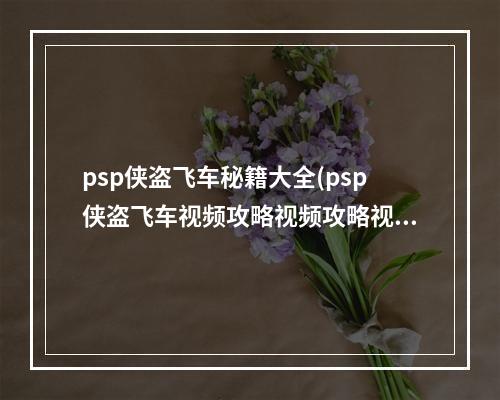 psp侠盗飞车秘籍大全(psp侠盗飞车视频攻略视频攻略视频解说)