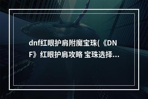 dnf红眼护肩附魔宝珠(《DNF》红眼护肩攻略 宝珠选择推荐 )