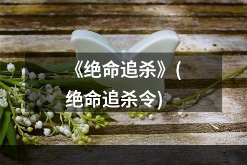 《绝命追杀》(绝命追杀令)