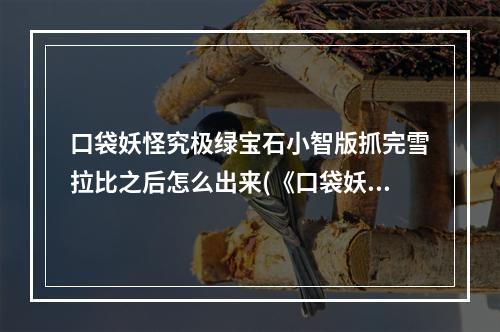 口袋妖怪究极绿宝石小智版抓完雪拉比之后怎么出来(《口袋妖怪》究极绿宝石II雪拉比怎么捉 获取方式汇总)