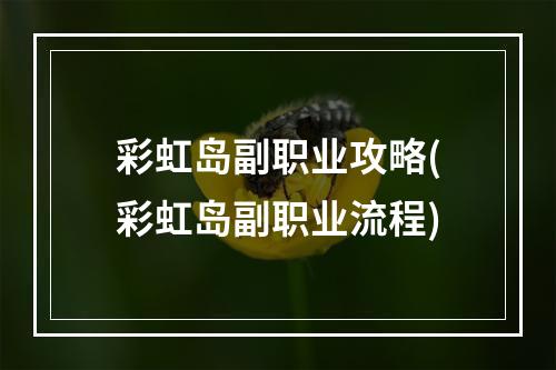 彩虹岛副职业攻略(彩虹岛副职业流程)