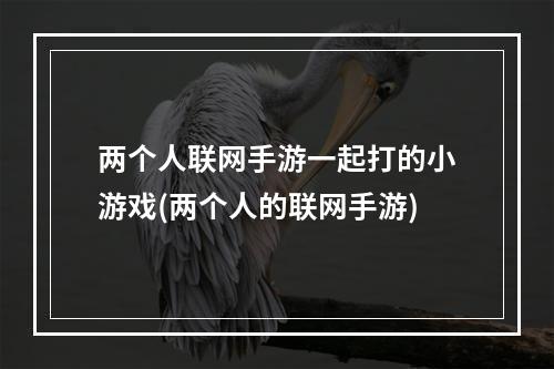 两个人联网手游一起打的小游戏(两个人的联网手游)