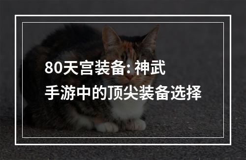 80天宫装备: 神武手游中的顶尖装备选择