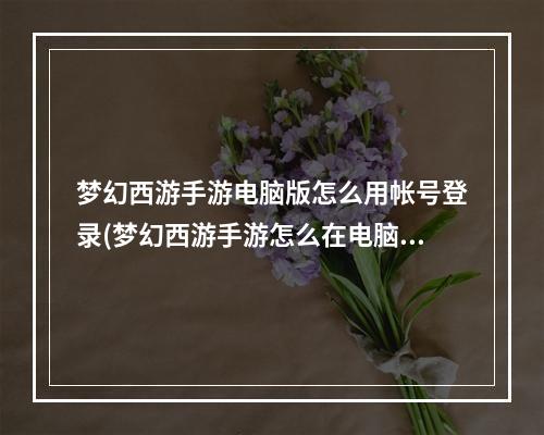 梦幻西游手游电脑版怎么用帐号登录(梦幻西游手游怎么在电脑上玩)