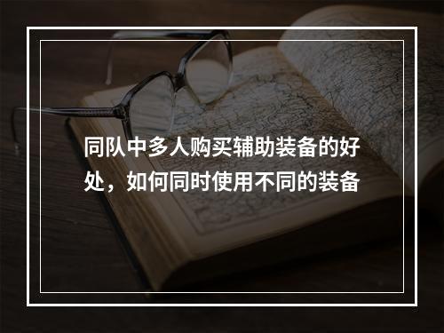 同队中多人购买辅助装备的好处，如何同时使用不同的装备