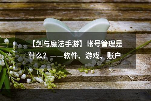 【剑与魔法手游】帐号管理是什么？——软件、游戏、账户