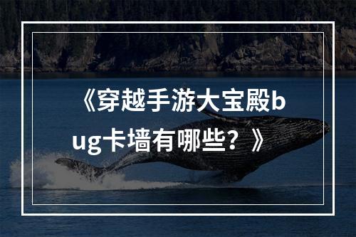 《穿越手游大宝殿bug卡墙有哪些？》